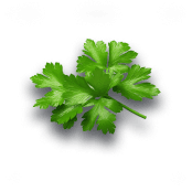 Coriander leaves