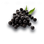 Peppercorn
